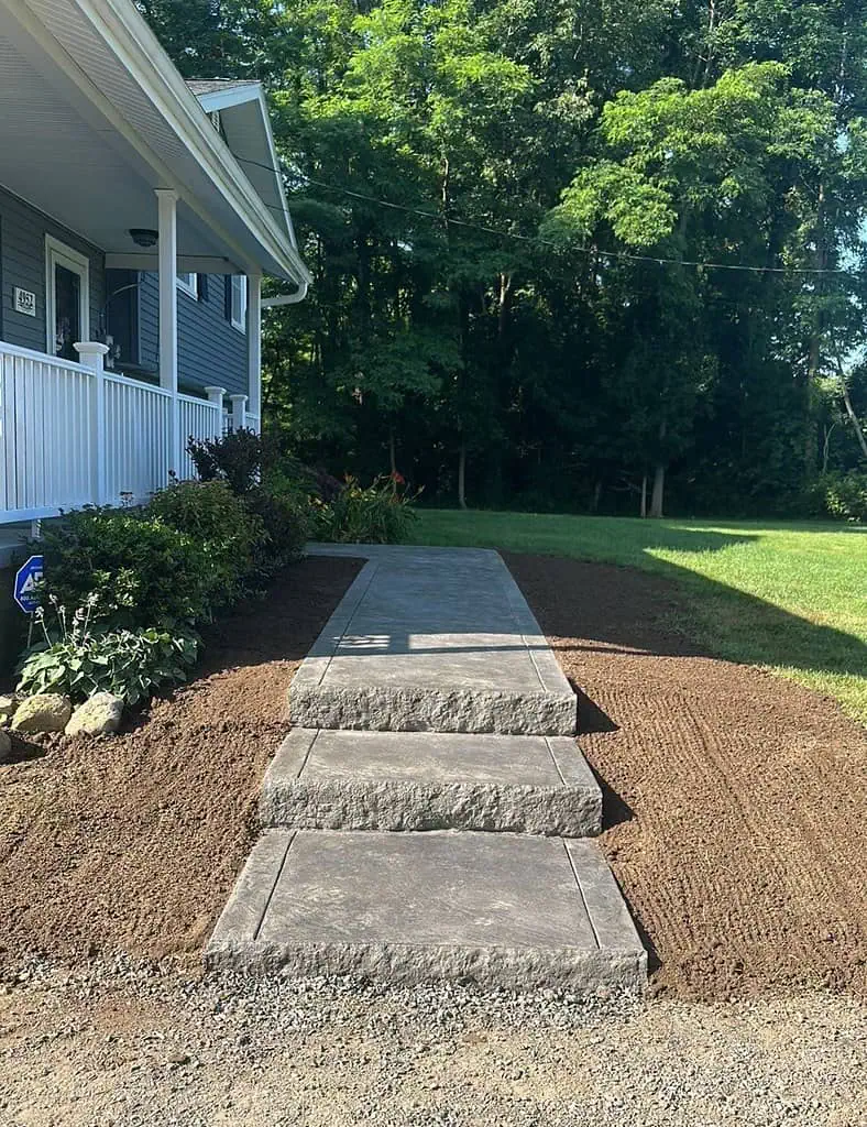 53601954381_93b355de41_b