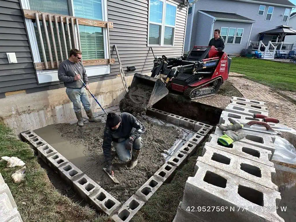 53601961806_d438cd778f_b